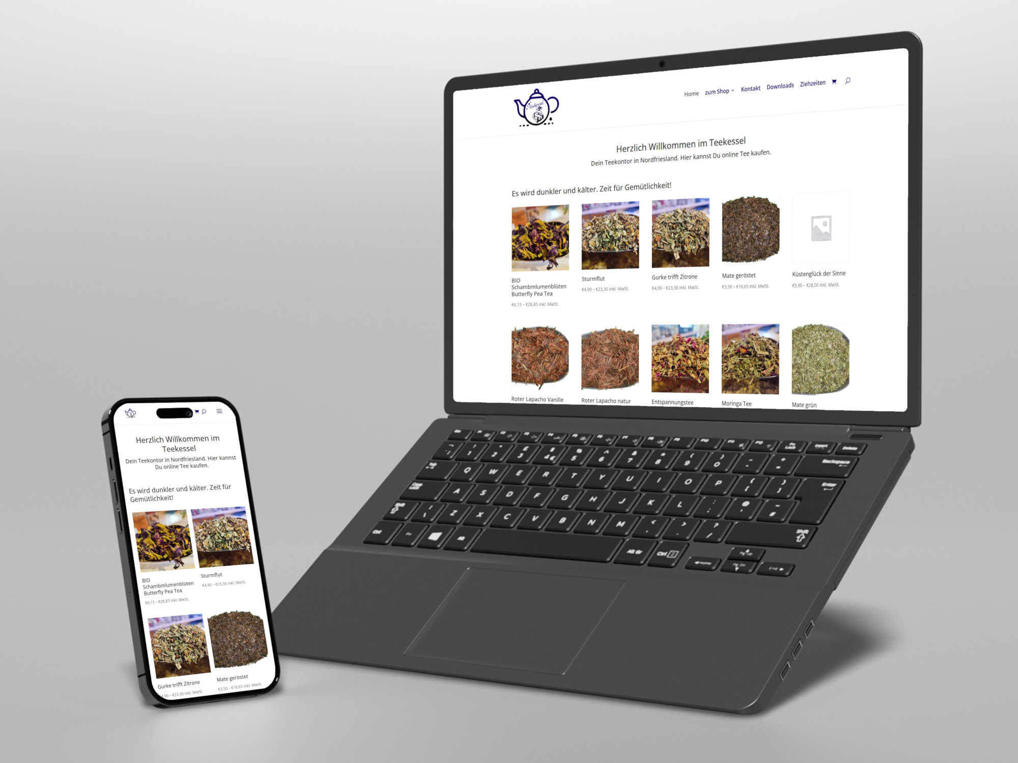 Website Teekessel.org